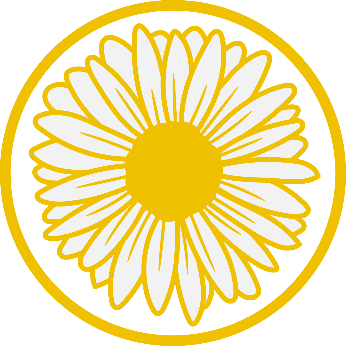 Chamomile