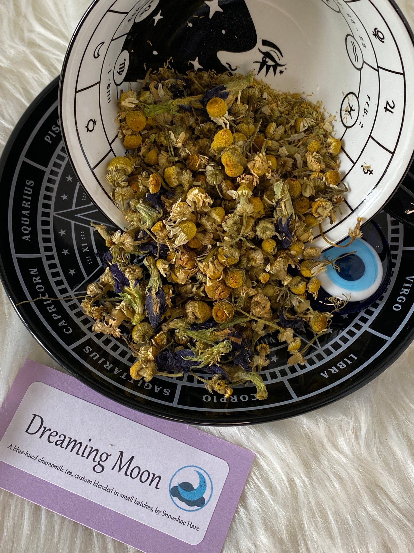 Dreaming Moon