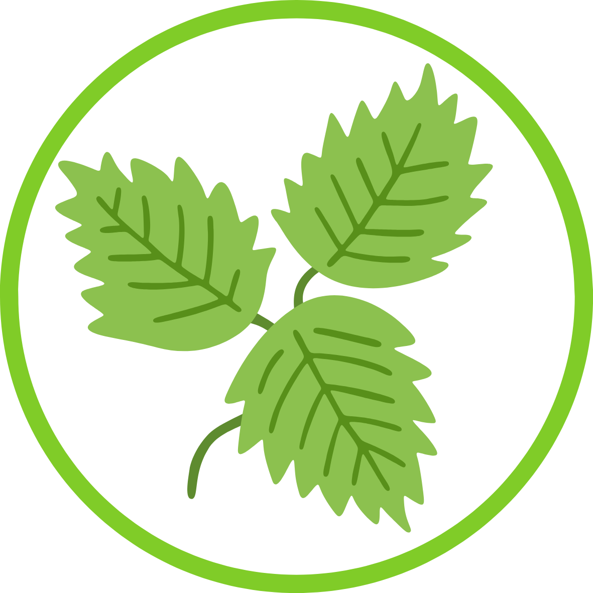 Nettle