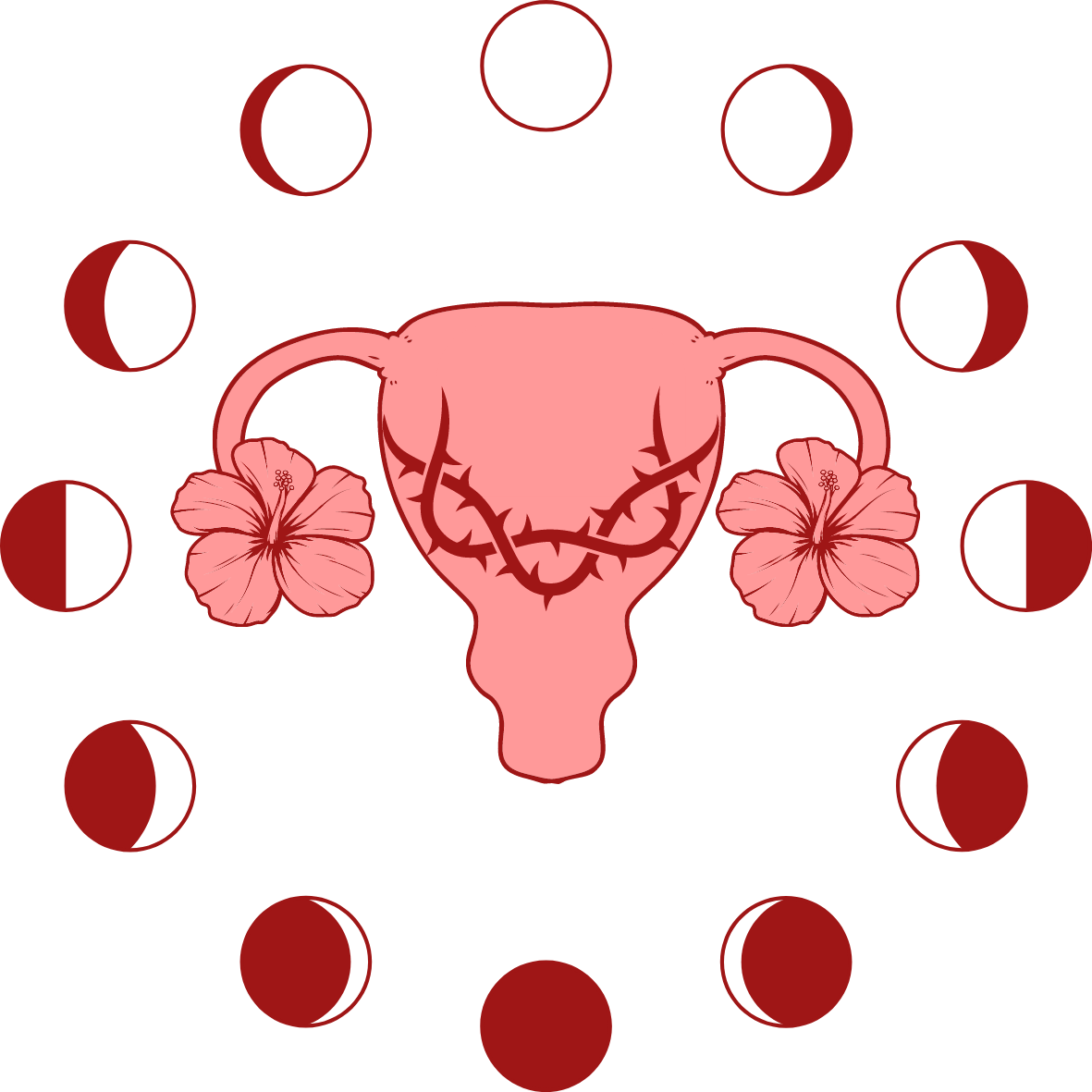 Illustration of a pink uterus with flowers and menstrual cycle phases on a white background