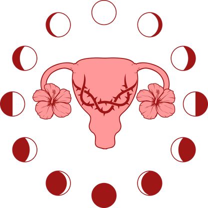Illustration of a pink uterus with flowers and menstrual cycle phases on a white background